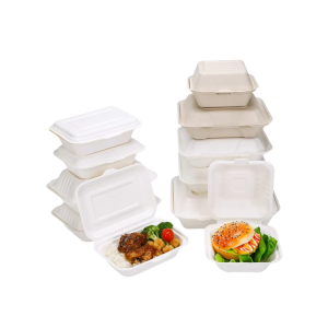 Sugarcane Clamshell Box