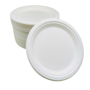 Sugarcane Plate - Image 3