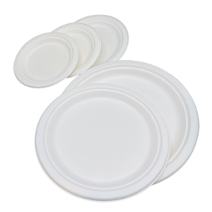 Sugarcane Plate - Image 2