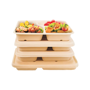 Sugarcane Food Container